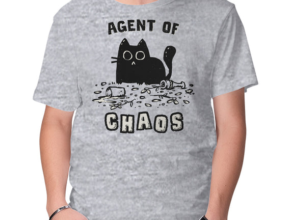 Chaos Cat