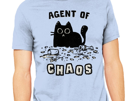 Chaos Cat