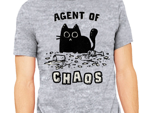 Chaos Cat