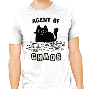 Chaos Cat
