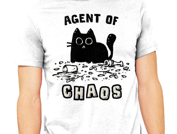 Chaos Cat