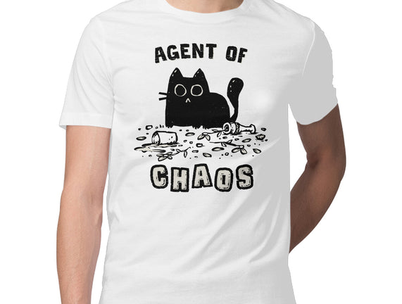Chaos Cat