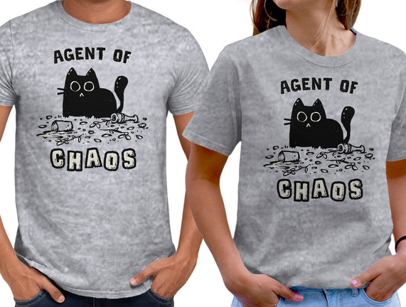 Chaos Cat