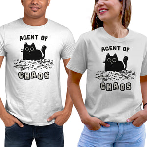 Chaos Cat