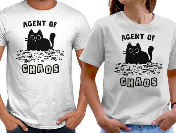 Chaos Cat