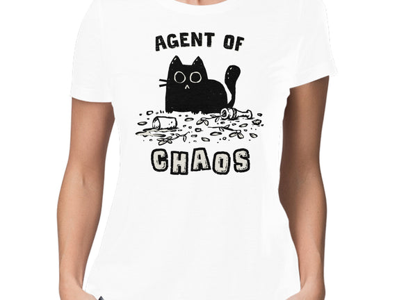 Chaos Cat