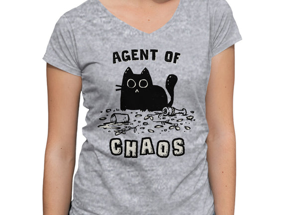 Chaos Cat