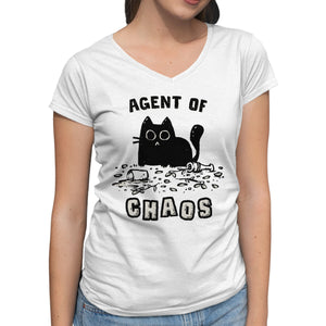 Chaos Cat