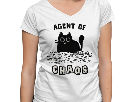 Chaos Cat