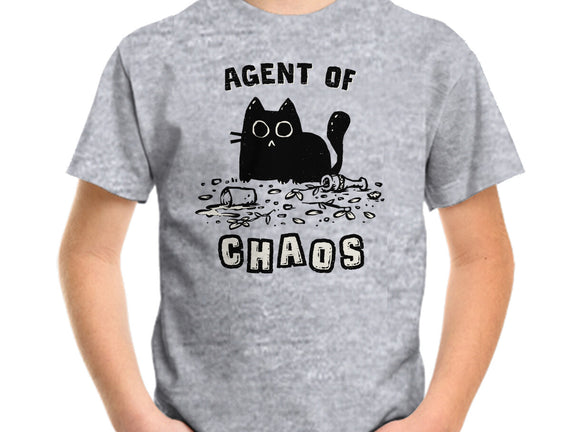 Chaos Cat
