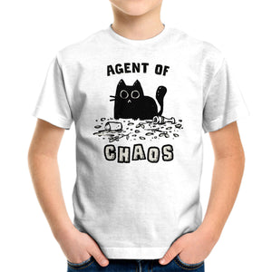 Chaos Cat