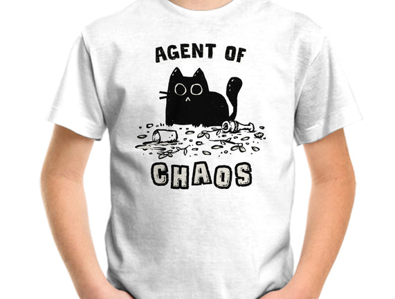 Chaos Cat