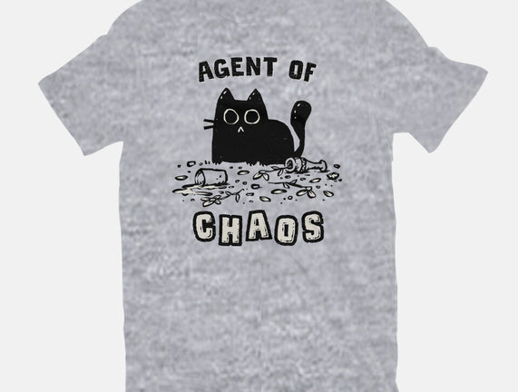 Chaos Cat