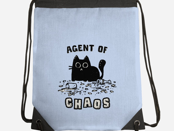 Chaos Cat