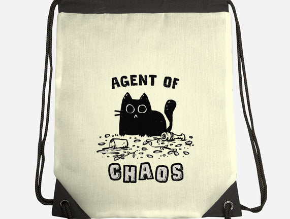 Chaos Cat