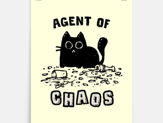 Chaos Cat
