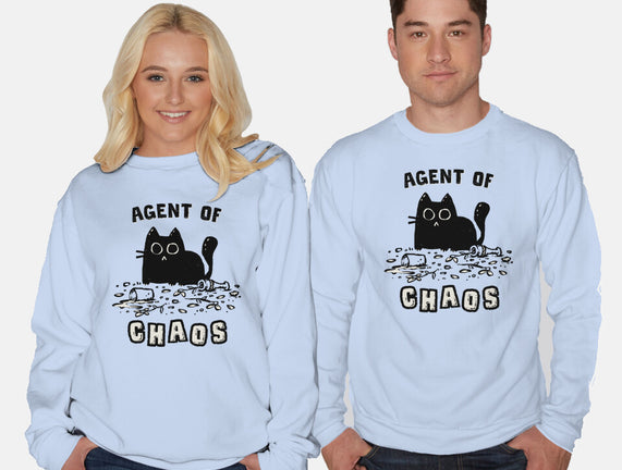 Chaos Cat