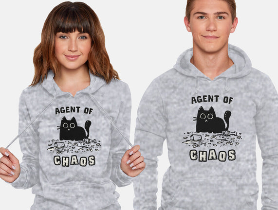 Chaos Cat