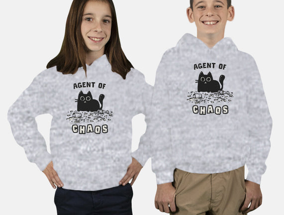 Chaos Cat
