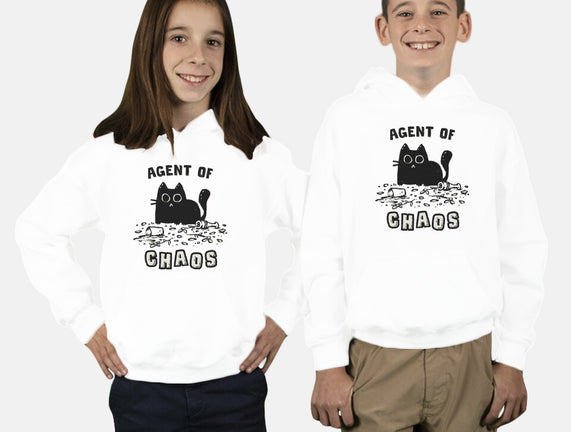 Chaos Cat
