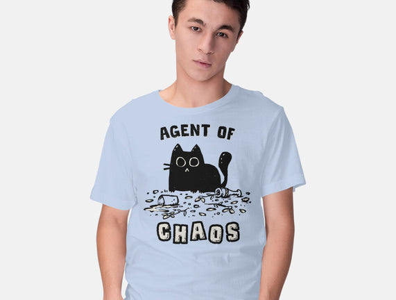 Chaos Cat