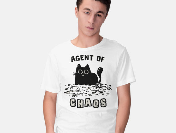 Chaos Cat