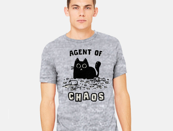 Chaos Cat