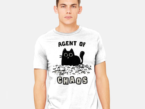 Chaos Cat