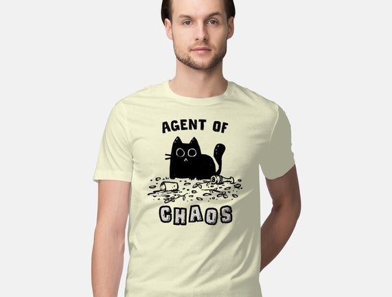 Chaos Cat