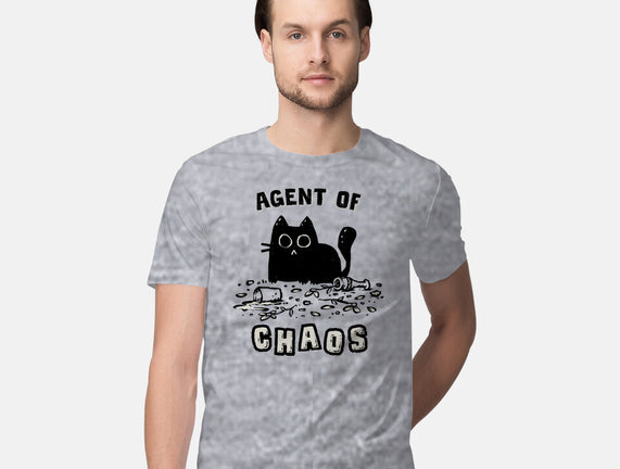 Chaos Cat
