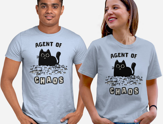 Chaos Cat