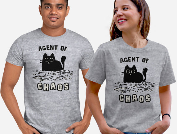 Chaos Cat
