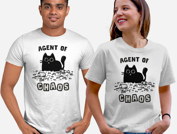 Chaos Cat