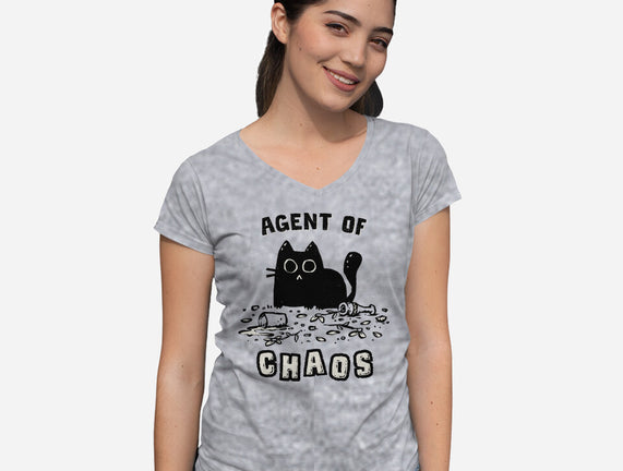 Chaos Cat