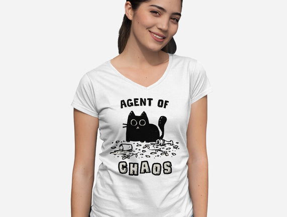 Chaos Cat