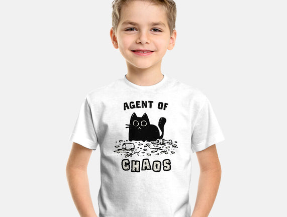 Chaos Cat