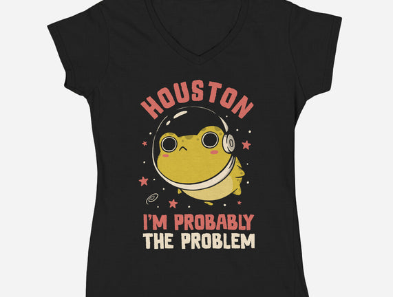 Houston I'm Probably The Problem