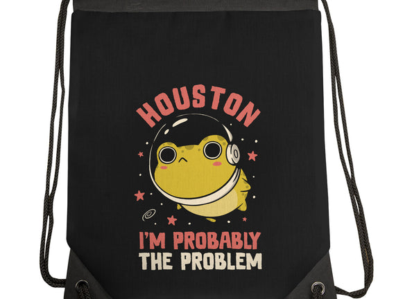 Houston I'm Probably The Problem
