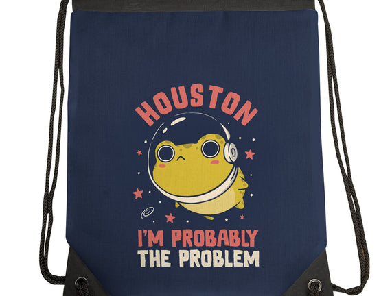 Houston I'm Probably The Problem