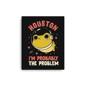 Houston I'm Probably The Problem