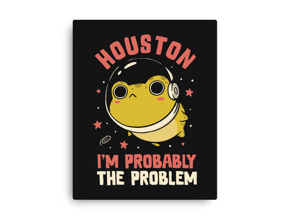 Houston I'm Probably The Problem