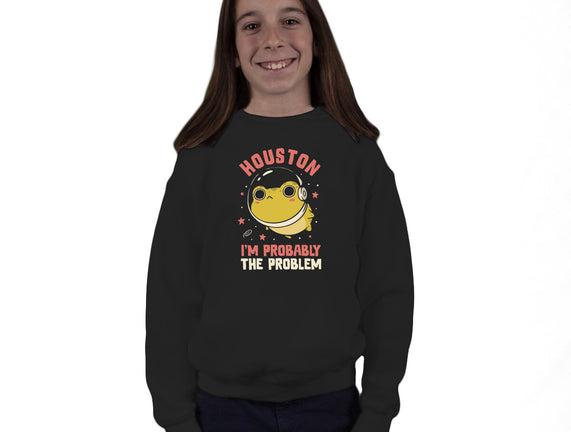 Houston I'm Probably The Problem