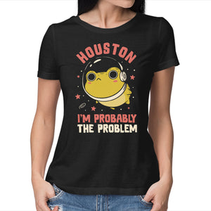 Houston I'm Probably The Problem