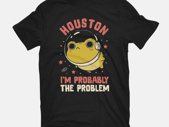 Houston I'm Probably The Problem