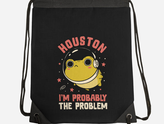 Houston I'm Probably The Problem