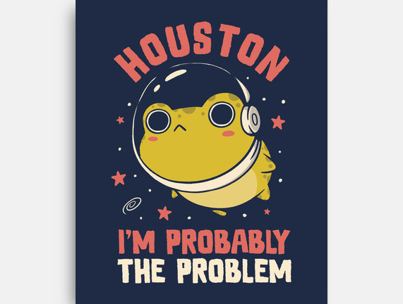 Houston I'm Probably The Problem