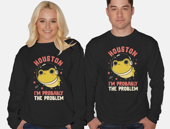 Houston I'm Probably The Problem