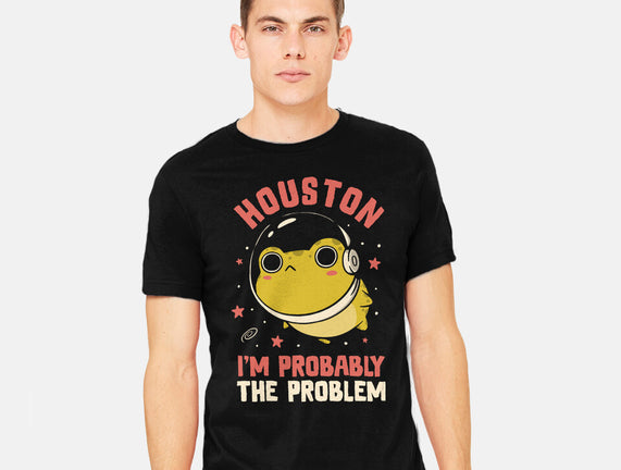 Houston I'm Probably The Problem