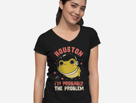 Houston I'm Probably The Problem