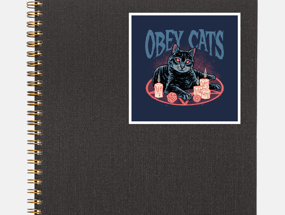 Obey All Cats